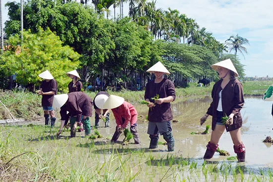Đẩy mạnh quảng bá, xúc tiến du lịch nông nghiệp, nông thôn qua các nền tảng số hiện đại